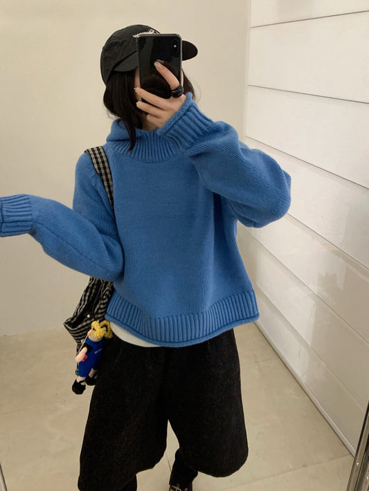 // 粗織紋領位連帽卷卷邊毛衣