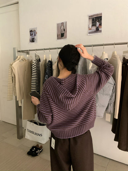 // 軟糯雙拉鍊細間條連帽CD