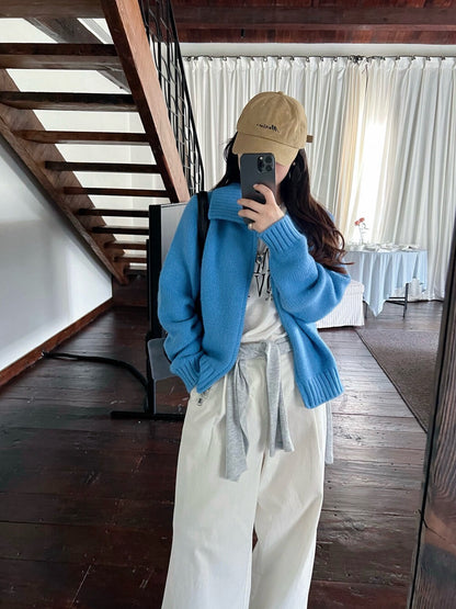 // 直坑紋大翻領上下拉鍊落肩CD