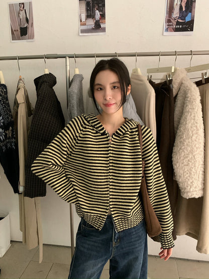 // 軟糯雙拉鍊細間條連帽CD