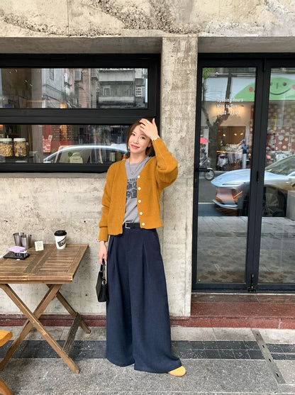 // 超soft V領8色直紋CD