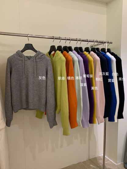 // 超軟糯北極絨連帽毛衣