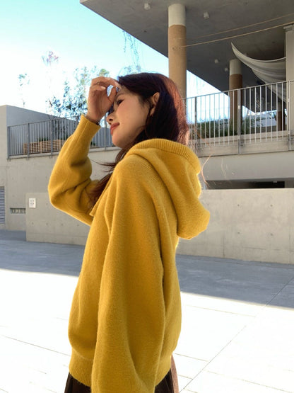 // 超軟糯北極絨連帽毛衣
