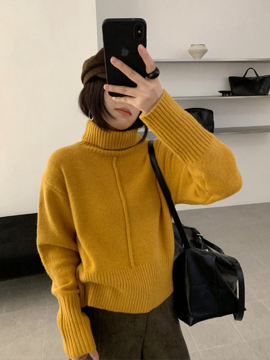 // 設計感中線直坑織紋高領NT