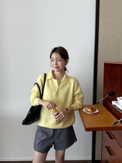 B197 / polo鈕扣軟糯絨毛感針織上衣