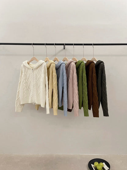 // 重工麻花上下拉鍊連帽CD