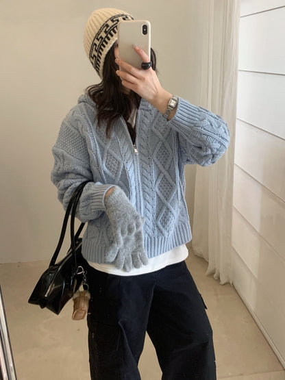 // 重工麻花上下拉鍊連帽CD